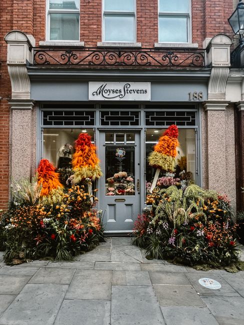 The storefront of Moyses Stevens floral boutique, surrounded by vibrant autumnal flower arrangements and foliage in shades of orange, yellow, purple, and green. The display features tall, conical flor
